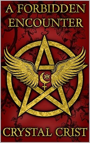 A Forbidden Encounter cover