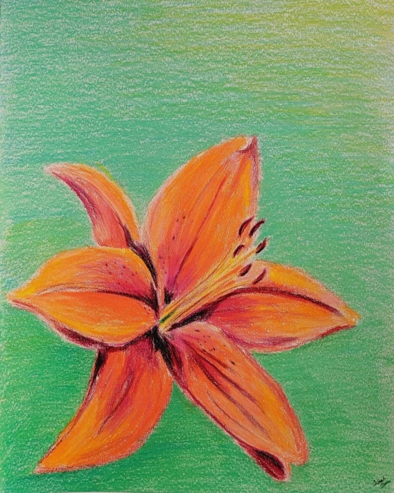 Orange tiger lily print